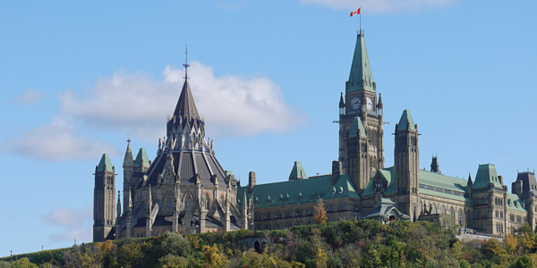 Parliament’s security service hiring DEI consultants