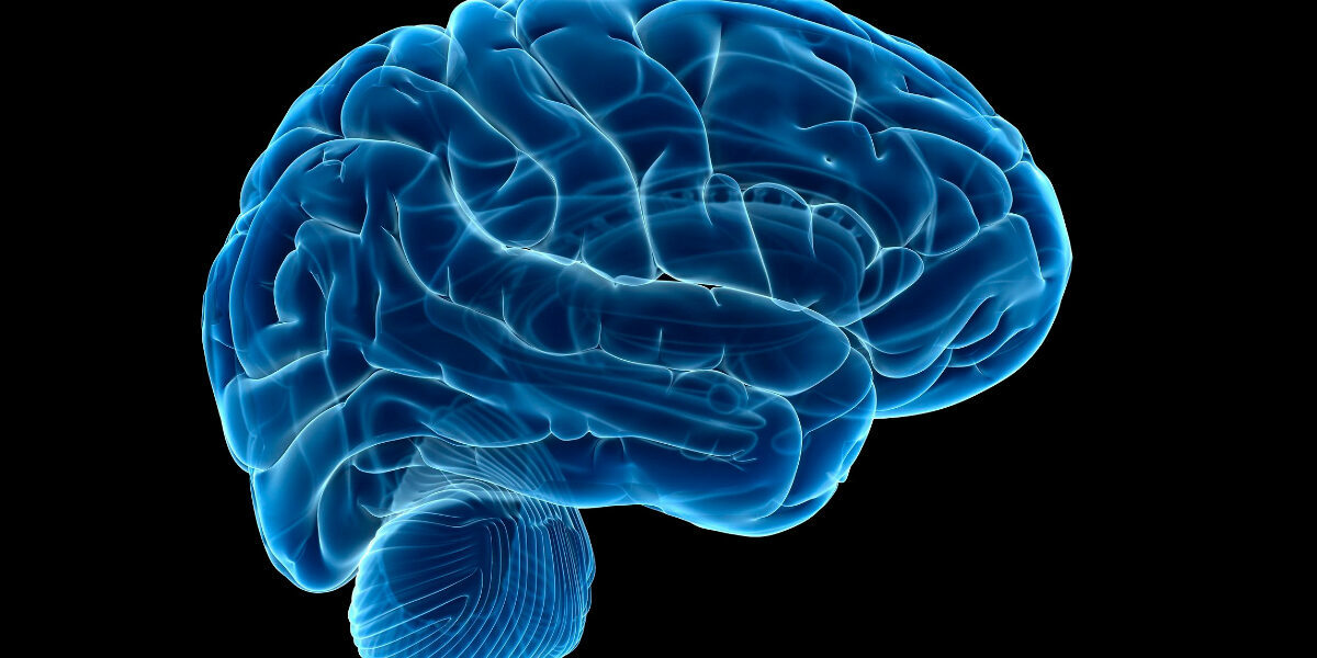 Human brain may only reach adulthood after age 30