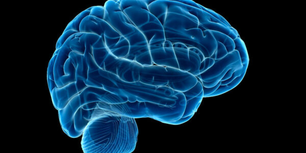 Human brain may only reach adulthood after age 30