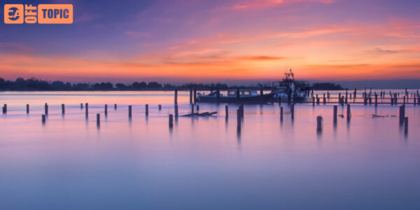 Off Topic – Sat 31 Jan 2026