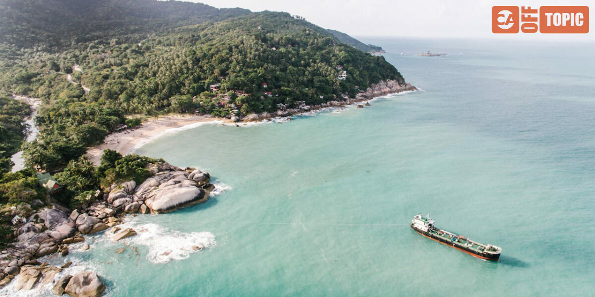 Off Topic – Sun 01 Feb 2026