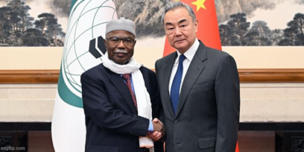 Organization of Islamic Cooperation Offers ‘Firm Support’ to Chinese Genocide of Muslims