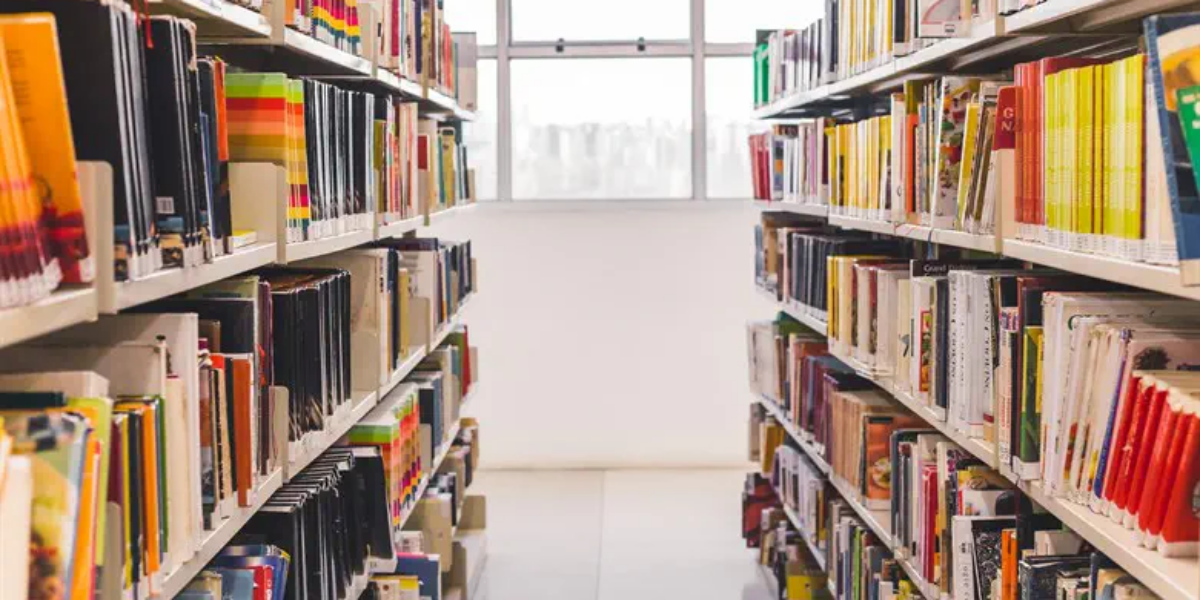 Children of Hamelin: The end of the story