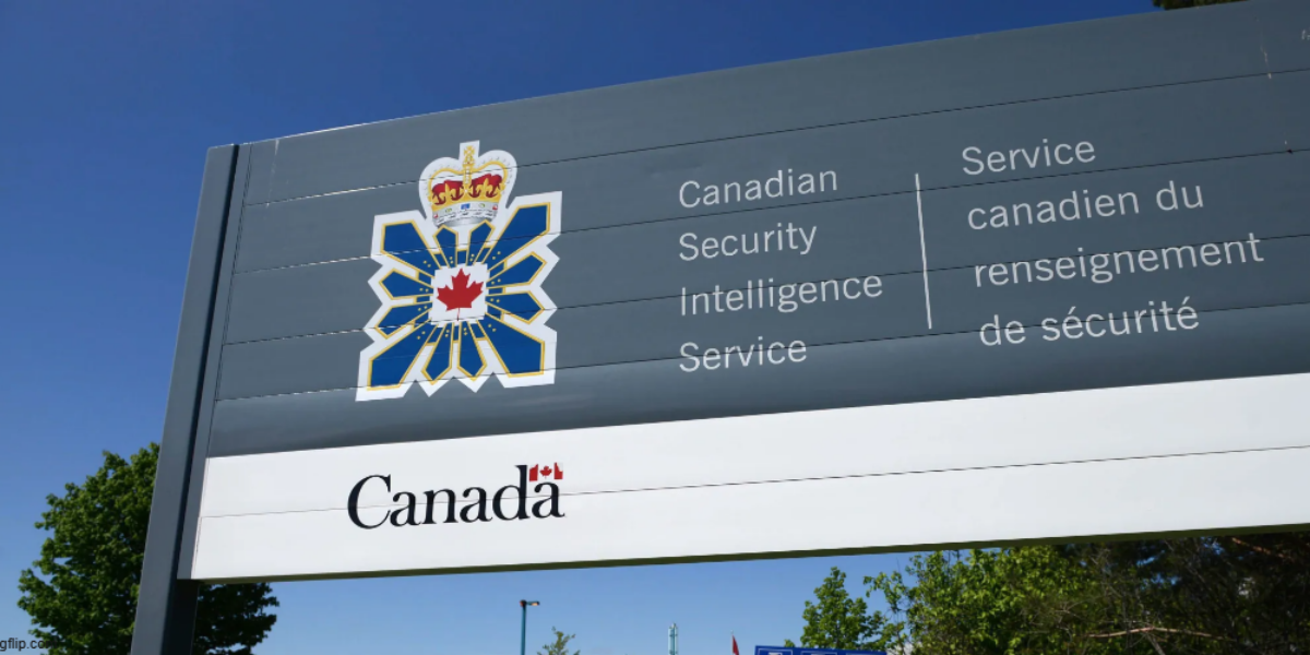 Anti-feminist ideology ‘increasingly relevant’ to national security: CSIS