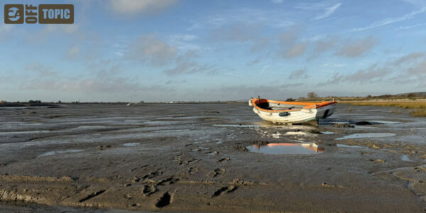 Off Topic – Thu 05 Feb 2026