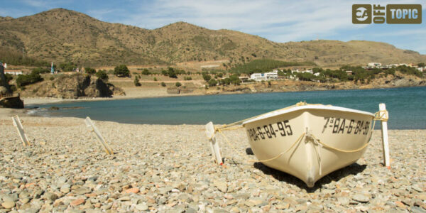 Off Topic – Sat 14 Feb 2026