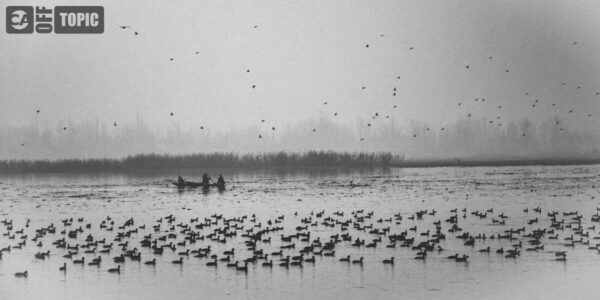 Off Topic – Tue 03 Mar 2026