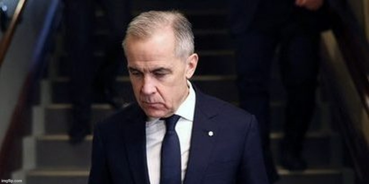 LILLEY: Canada on carving board as trade talks have stalled with U.S.