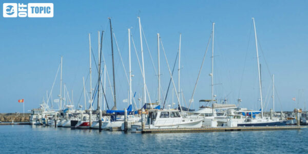 Off Topic – Sun 29 Mar 2026