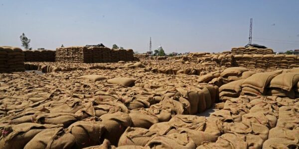 World food price rise set to continue if Iran war lasts, FAO says