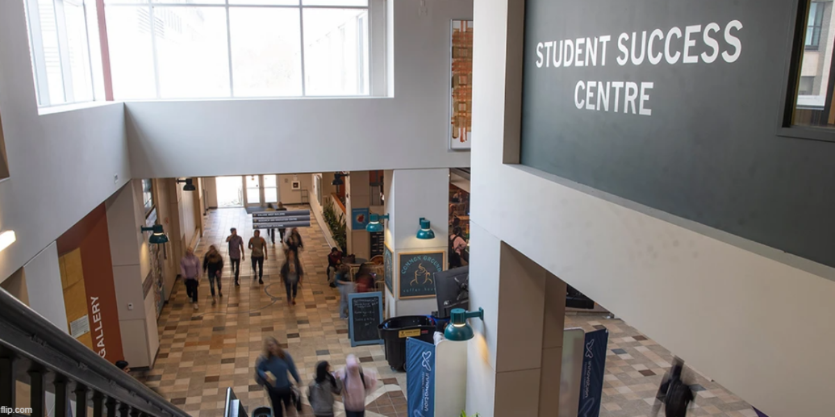 Peter MacKinnon: The clear and present danger to universities is not from without, but within