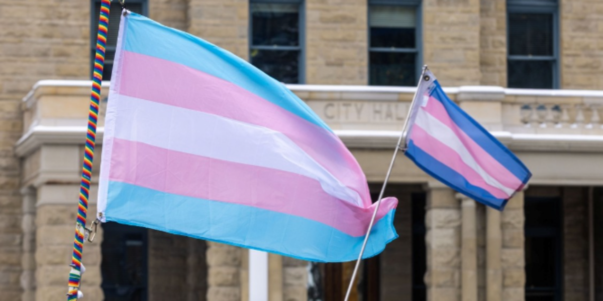 Jamie Sarkonak: At a human rights tribunal, it’s better to be a transwoman