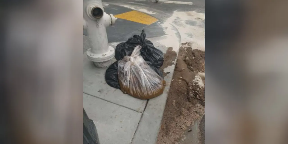 Turd On San Francisco Sidewalk Now Polling Second In California Governor’s Race