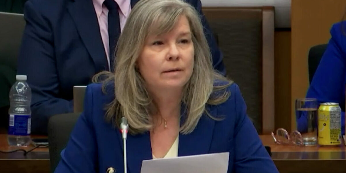 Bill C-9 will criminalize flags, memes and protests: Free Speech Union of Canada