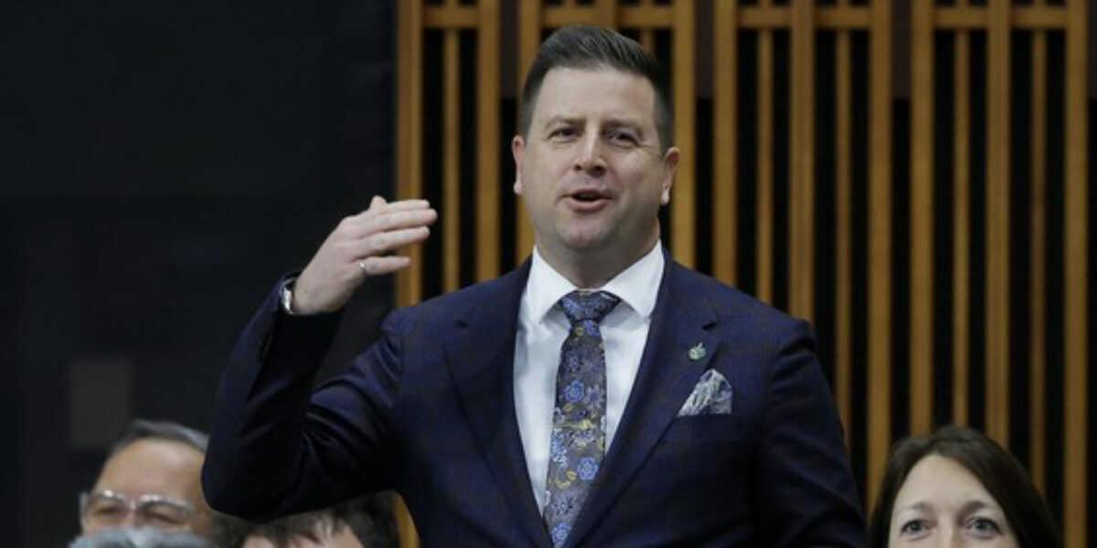 Michael Higgins: Liberal MPs go berserk over the question, what is a woman?