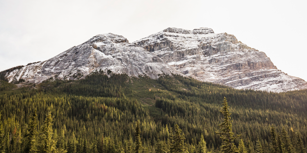Another B.C. land grab? This is starting to smell like communism