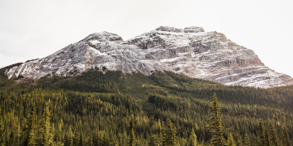 Another B.C. land grab? This is starting to smell like communism