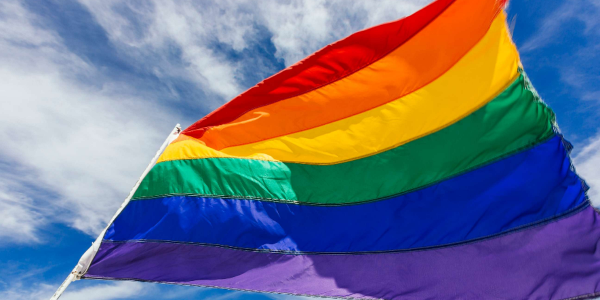 Adam Zivo: The necessary rise of ‘homonationalism’