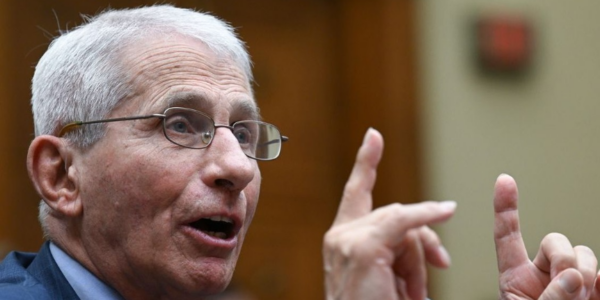 Fauci invokes Fifth Amendment in hearing before Rand Paul and Senate GOP