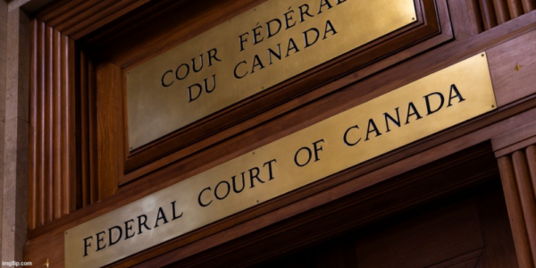 Jamie Sarkonak: Federal Court states the obvious – being trans in U.S. doesn’t make you a refugee
