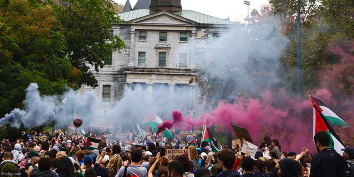 Yoni Goldstein: It’s time for Jews to build their own universities in Canada