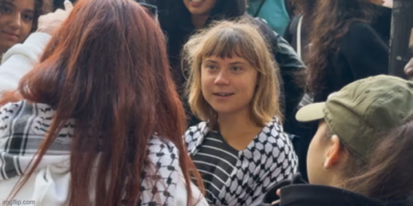 Activist Greta Thunberg joins France student rally after violence at protests