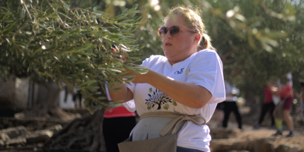 Finland Wins World Olive Picking Championship in Croatia