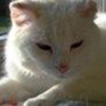 Profile picture of richardl