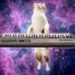 Profile picture of cupotea