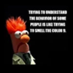 Profile picture of LetLogicPrevailv2.0