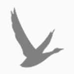 Profile picture of Greygoose